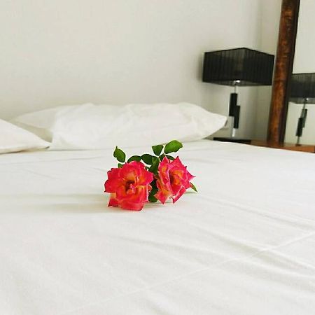 Peggy'S Lux Apartment 凯法米洛斯 外观 照片